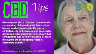 CBD for Focus and Concentration | Understanding CBD and Focus No Matter The Age.