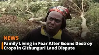 Family Living in Fear After Goons Destroy Crops in Githunguri Land Dispute