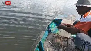 MEMUKAT IKAN BELANAK DENGAN CARA MELIKUNG PANTAI#sungaisuanlamba