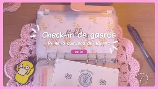 💌CHECK-IN DE GASTOS | Primeira quinzena de Janeiro