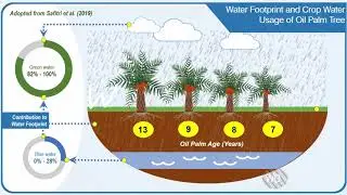 Water footprint of oil palm