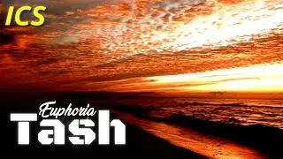 Tash | Euphoria