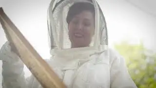 Entomologist - Career Video, 1st Grade
