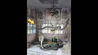 Snakes in shiv temple #touchfacts 😲Snakes in the temple😲 #amazingfacts #touchfacts #shorts