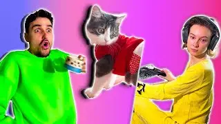 TikTok CosefNastya Cat Videos 😢😂