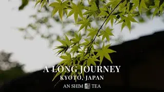A long journey by AN SHIM TEA