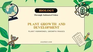 Plant Growth & Development | Plant Hormones & Growth Phases Explained | Class 11 Biology | NEET 2025