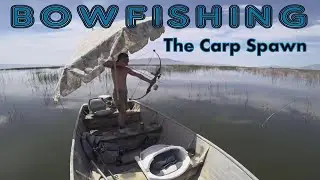 Bowfishing for Carp During the Spawn From the Boat