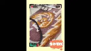 Hand Tufted Living Room 100% Wool Customized Logo and Design Large Carpets
