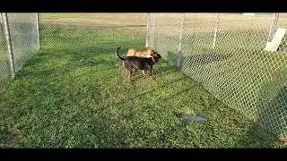 Andrea meeting Buster