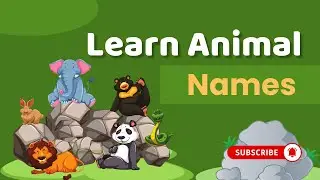 Zoo Animal Names II | Learn wild animals names in English | Kids, Toddlers special | Yellow Paws