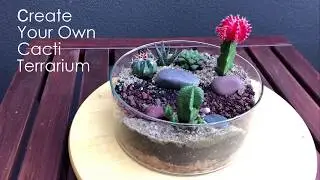[Melbourne] Create a Cacti Terrarium Under 10 Minutes