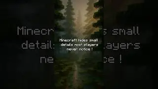 Hidden Minecraft Details You Probably Missed 😳 #Shorts #FactBlockQuest