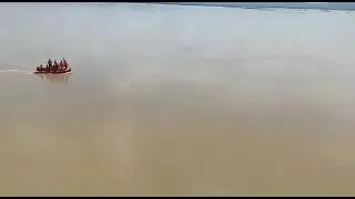 Elephant Rescue operation fails