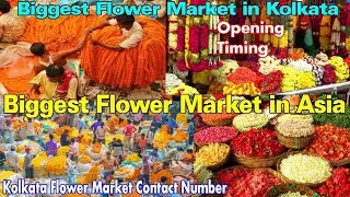 Kolkata mai Howrah mai hai sab sea bara ful ka mandi एशिया का सबसे बड़ा फूल बाजार कोलकाता हावडा 