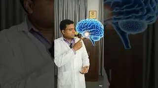 Brain 🧠 Hypothalamus controls body temperature 🌡️🤒 #prashantvankore