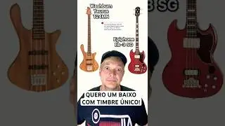 Qual tem o Timbre mais Diferent&atilde;o ? Epiphone Eb3 ou Washburn Taurus T24MN? #basstuberesponde