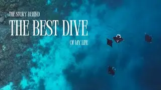 Chase that feeling - the best dive of my Life