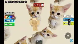 Cat obby . Roblox troll tower  😎 🆒️ 