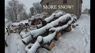 Firewood Talk, Wolfe Ridge Expo @MessicksEquip and Some Log Cutting!