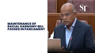 Five key proposals in Maintenance of Racial Harmony Bill
