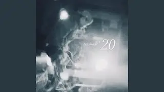20