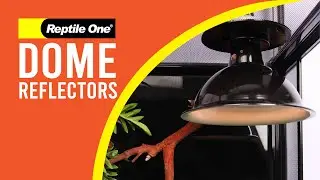 Dome Reflector