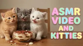 Relaxing AI Cat ASMR: Kittens Eating Treats (Mouth Sounds + Purring) - 4K ✨🍰😽