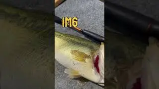 Introducing the Powerful KastKing Lethal Blaze Fishing Reel Combo