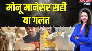 मोनू मानेसर सही या गलत ? monu manesar history latest news