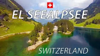 Seealpsee 🇨🇭 El lago alpino m&aacute;s fotog&eacute;nico de Suiza | Alpstein