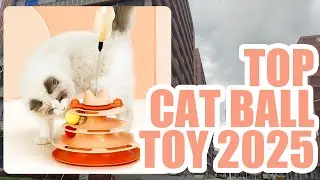 Multi-Layer Cat Ball Tower &ndash; Endless Fun & Chase!✨#CuteCat#FunnyCats#CatToys