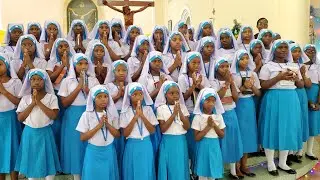 #MISA TAKATIFU SHEREHE YA MWAKA MPYA 2026 KUTOKA PAROKIA YA MT.PAULO WA MSALABA KANISA KUU DODOMA. 