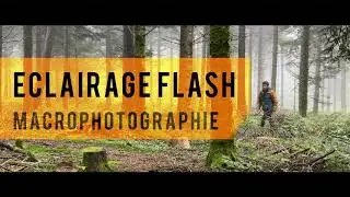 Eclairage flash en macrophotographie : Comment le maîtriser? Qu'est-ce que ça change?