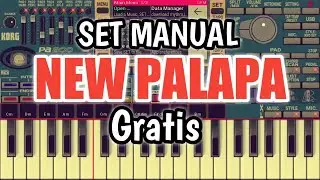 SET MANUAL NEW  PALAPA GRATIS
