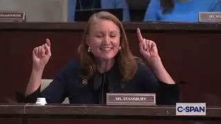 Rep. Stansbury: America has no kings