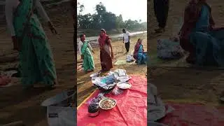 Jimmy Jimmy #picnic #song #dance #riverside #river #shortsfeed #shortsfunny #shortsvideo #shorts