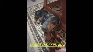 Dobby die explorer- lied wat ek geskryf het, stemme AI maar wysie en woorde ek geskryf.