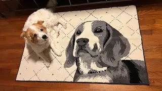 The CUTEST Dog Face Rug COSY HOMEER Dog Door Mat 32
