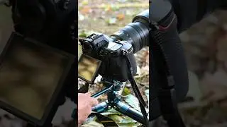 Benro Cyanbird, tr&iacute;pode muy ligero para foto y video.