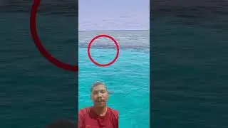 Kerapu batu besar #fishing #fish #bassfishing #outdoors #ocean  #tunafish #mancing #mancingmania