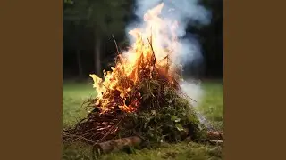 Warm Ember Focus Gentle Sound