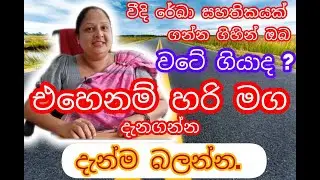 වීදි රේඛා සහතිකයක් ලබා ගැනීම හා ඒ හා සම්බන්ධ ලේඛන.