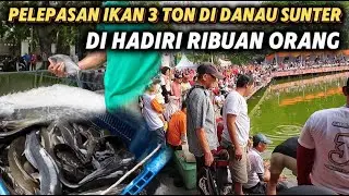PELEPASAN IKAN 3 TON DI DANAU SUNTER DI HADIRI RIBUAN ORANG ‼️
