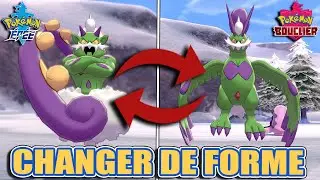 Changer la Forme des Légendaire ( Orbe, Miroir Sacré, Pointeau ADN ... ) | Pokémon Épée et Bouclier