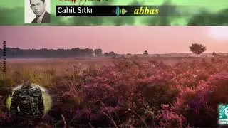 Sesli Öykü / Abbas - Cahit Sıtkı (Tarancı)
