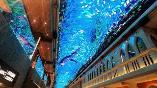 MSC EURIBIA - the  highlight aboard - Galleria Euribia and the most spectacular LED show