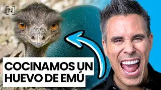 C&Oacute;MO COCINAR UN HUEVO DE EM&Uacute; - Dr. Nutrillermo