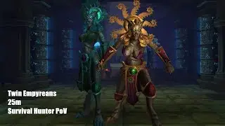 Twin Empyreans Heroic 25m | Throne of Thunder | Survival Hunter PoV | Mist of Pandaria Classic
