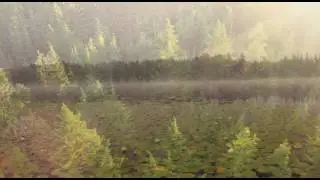 Grounds video